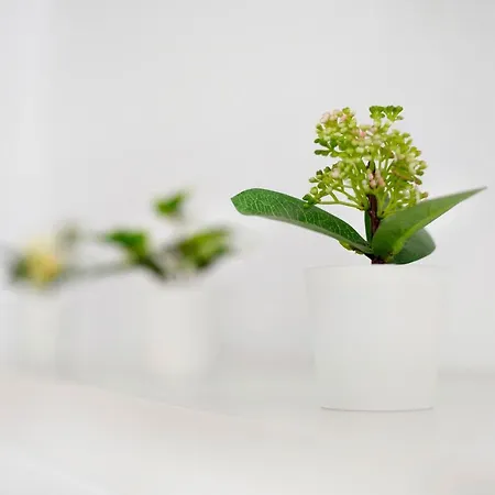 Playa 2c 아파트 *