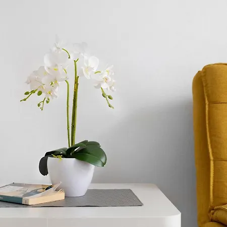 Playa 2c 아파트 *