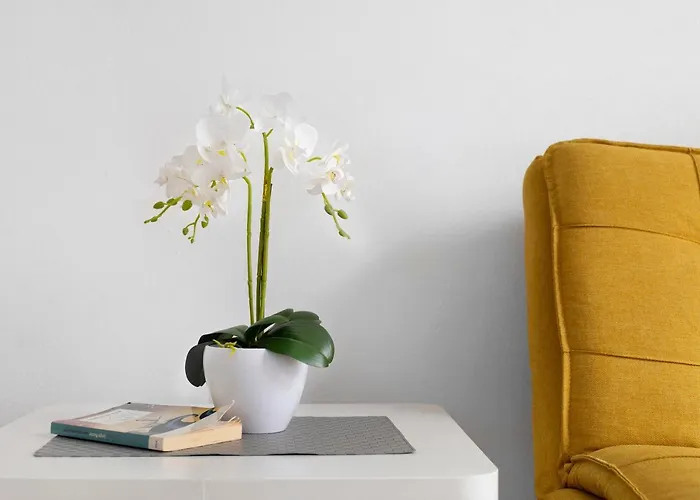 Playa 2c Apartament *