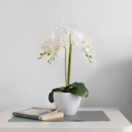 Διαμέρισμα Playa 2c *